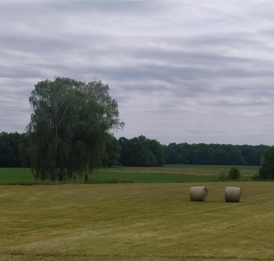 Ubytovani U Sobotku Třeboň Exterior foto