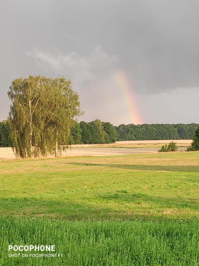 Ubytovani U Sobotku Třeboň Exterior foto